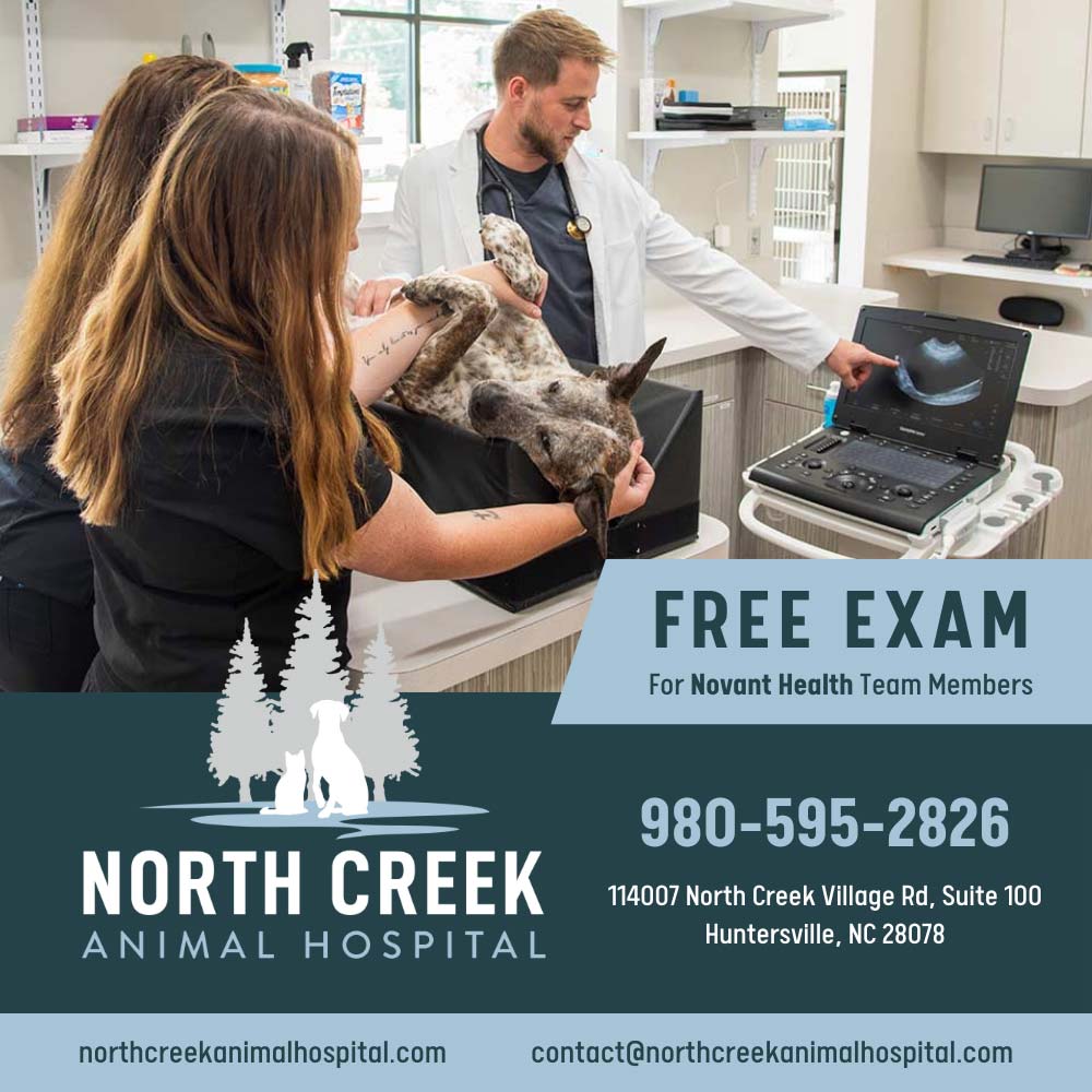 North Creek Animal Hospital